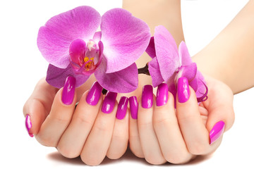 female hands with pink orchid. isolated