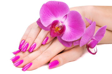 hands with pink orchid. isolated