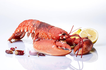 Cooked lobster on slate