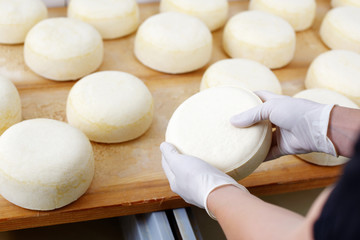 käseproduktion