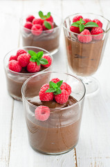 chocolate mousse and raspberry