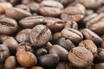 coffee beans closeup