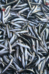 Fototapeta premium anchovies at bazaar