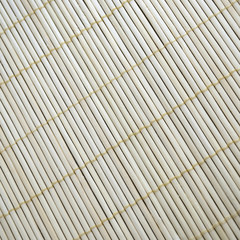 Bamboo Texture