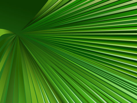 Palm Leaf graphic