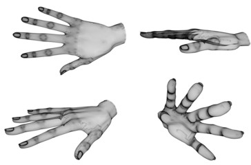 Obraz premium Mano illustrazione anatomia pose disegno