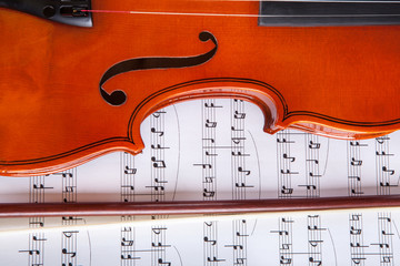 Fototapeta premium Violin And Musical Notes