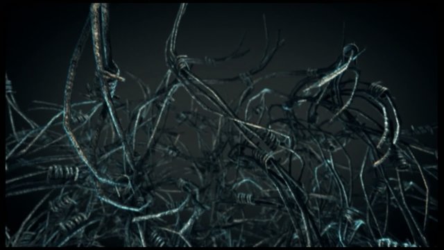 Barbed Wire on Black
