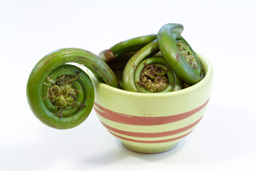 Fiddleheads in Bbowl
