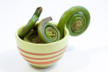 Fiddleheads in Bowl