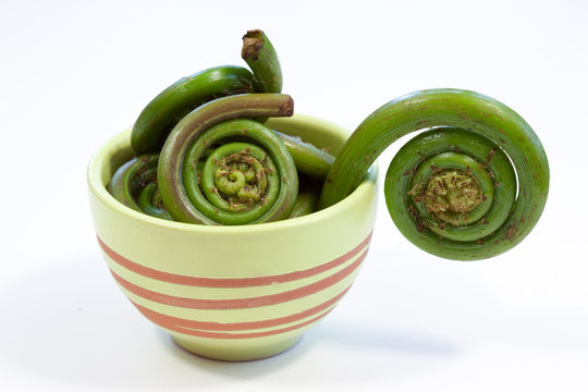 Fiddleheads in Bowl