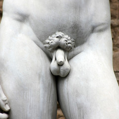 Florence - David de Michel-Ange (détail)