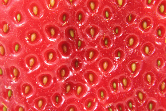 detail of strawberry as background