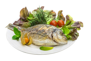 Dorado grilled