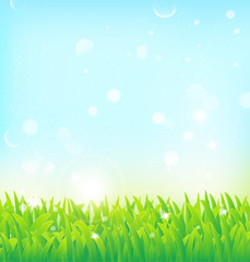 spring background with grass and light effects