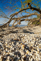 Dzika Plaża © robertkorsak