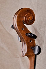 Close up of the head of a violoncello