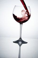 Weineinschütter 7