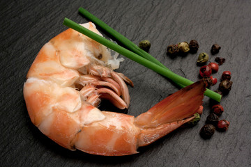 Mazzancolla