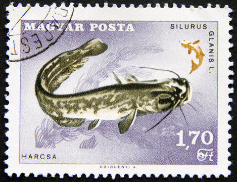 Tropical fish on a Hungarian stamp