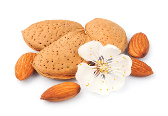 Almonds with flowers
