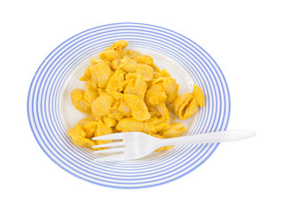 Pasta shells and cheese dinner