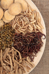 Chinese Medicinal Herbs