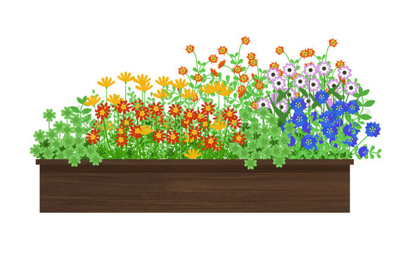 「寄せ植え」の写真素材 | 4,501件の無料イラスト画像 | Adobe Stock