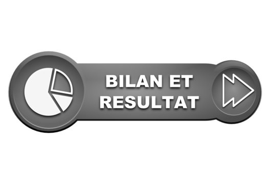 bilan et resultat sur bouton gris