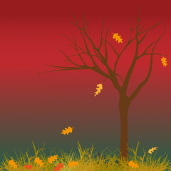 Night autumn landscape