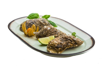 Fresh oyster