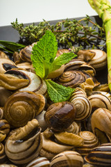 Escargot with asparagus, rosemary, thymus and tomato