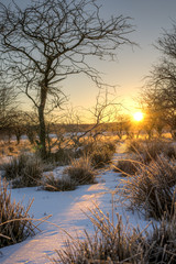 Sunrise over the turf