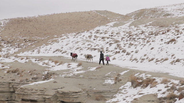 Afghans et leurs &acirc;nes sur une route enneig&eacute;e.