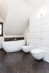 Fototapeta na wymiar Grand design - bath, toilet and bidet