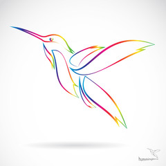 Obraz na płótnie Canvas Vector image of an hummingbird on white background