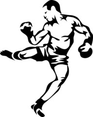 jumping kick boxer