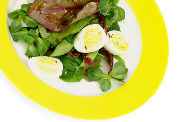 Greens Salad