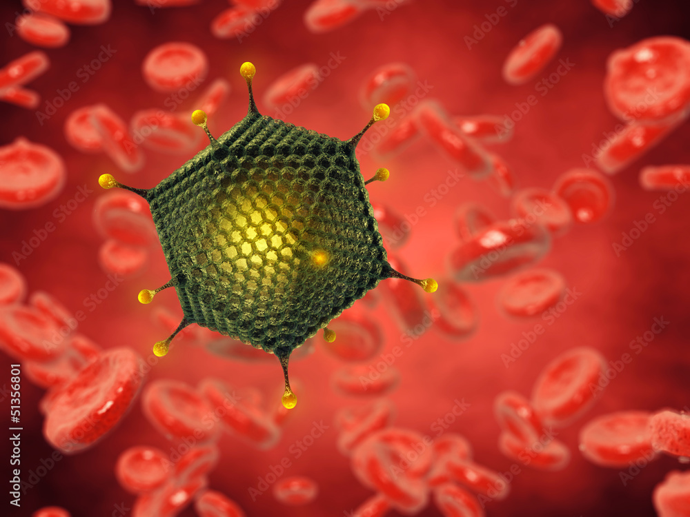 Wall mural Adenovirus and blood cells , contaminated blood