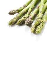 白背景にアスパラガス