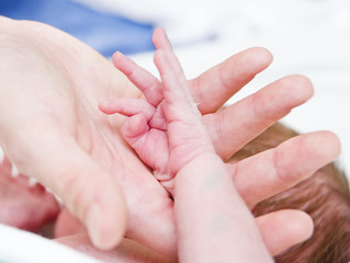 parental hand holds a palm of the baby