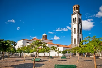 Foto op Plexiglas Cathedral, Santa Cruz de Tenerife, Canary Islands, Spain © Aleksandar Todorovic