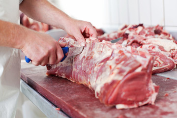 metzger zerlegt rind