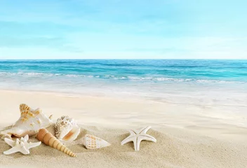Raamstickers Landschap met schelpen op tropisch strand © silvae