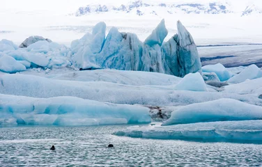 Tischdecke Icebergs in Jokulsarlon © Robert Hoetink