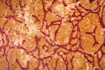 texture of cardboard