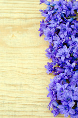 Hyacinths on the wooden background