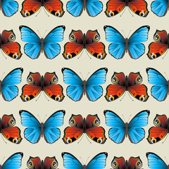 Plakat seamless butterfly ornament