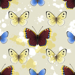 butterfly seamless