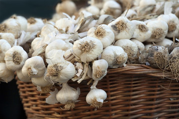 A basket of garlic in a market